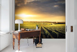 3D Sun Vineyard Wall Mural Wallpaper 91- Jess Art Decoration