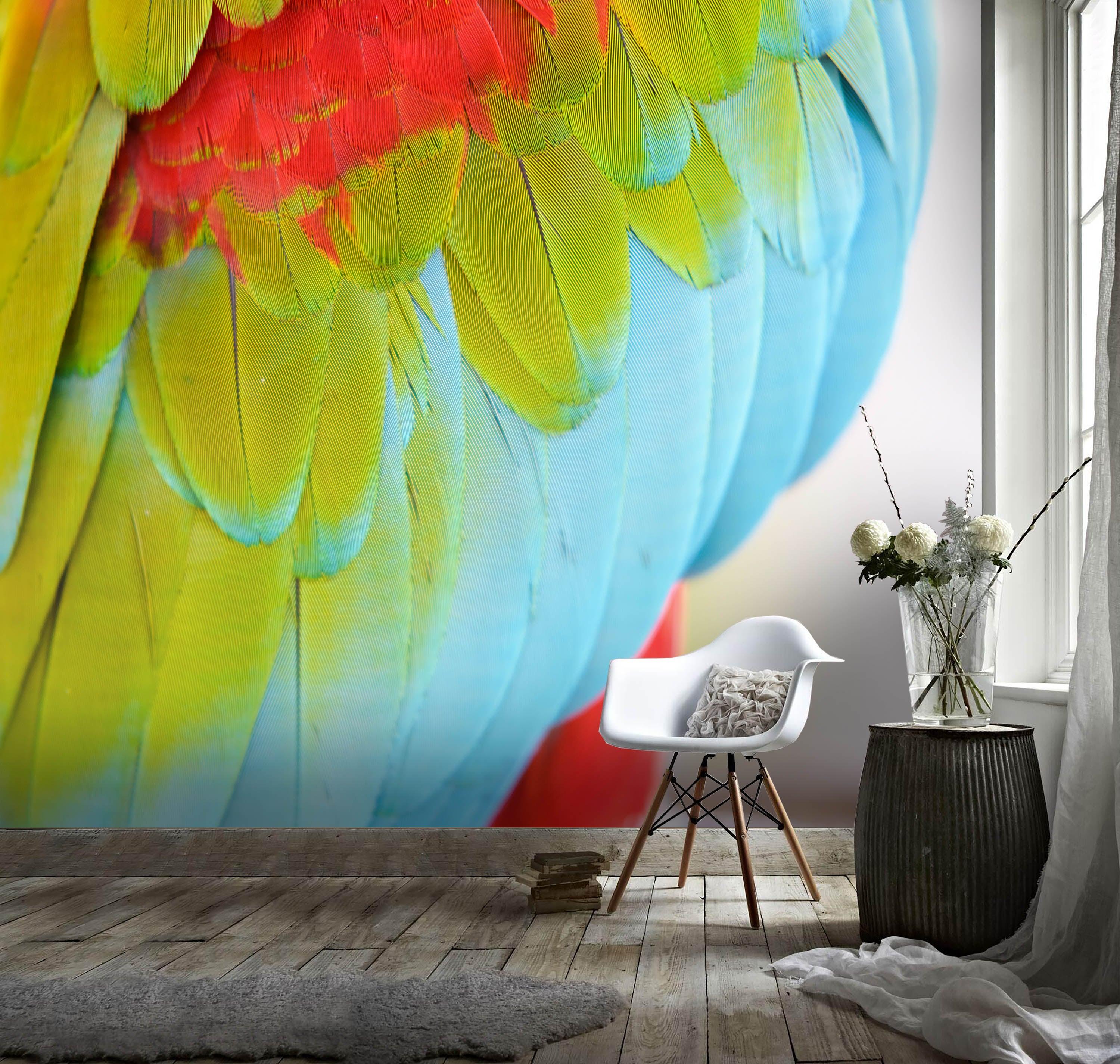 3D Colored Feathers Wall Mural Wallpaper 112- Jess Art Decoration