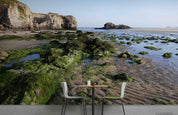 3D Sea Rock Landscape Wall Mural Wallpaper LQH 109- Jess Art Decoration