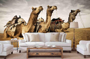 3D Desert Camel Wall Mural Wallpaper A013 LQH- Jess Art Decoration