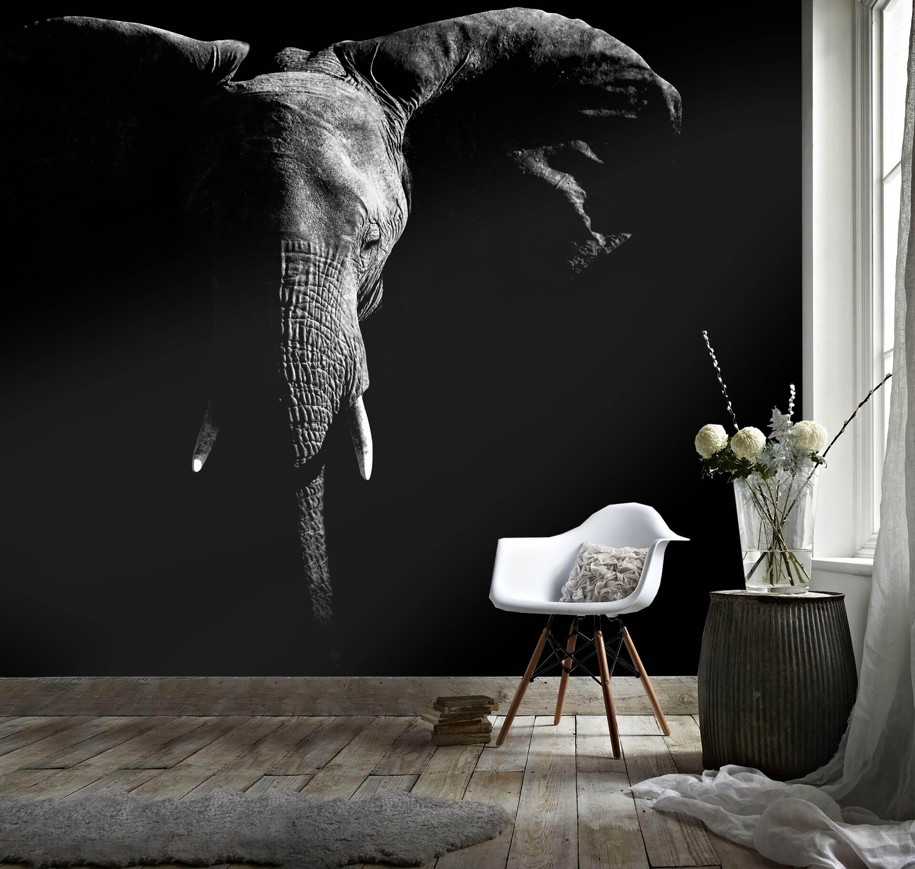 3D Black White Elephant Wall Mural Wallpaper 129- Jess Art Decoration