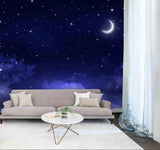 3D Moon Star Sky Clouds Night Wall Mural Wallpaper 14- Jess Art Decoration
