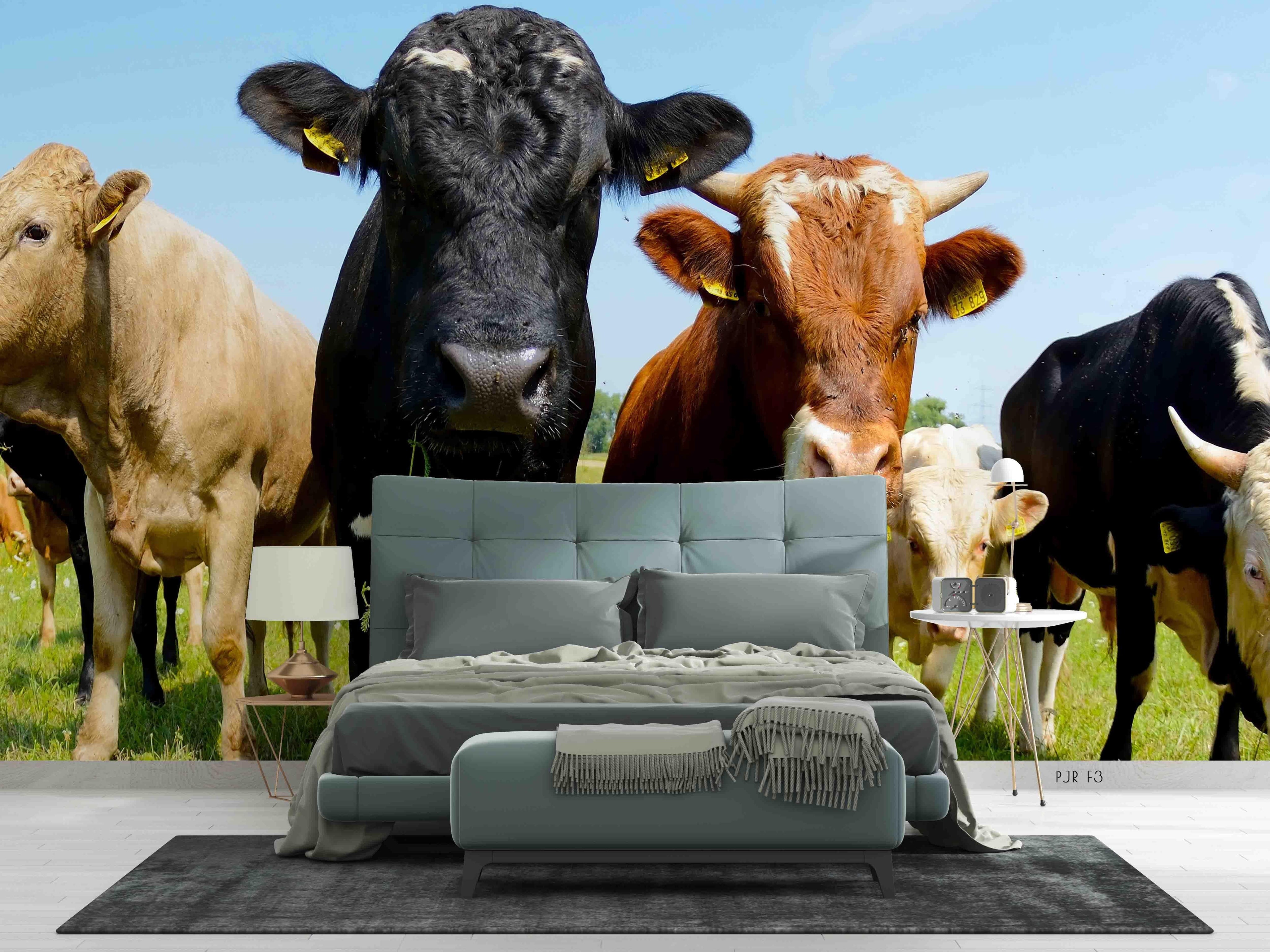3D Farm Cow Grassland farm cow animal mural wall mural wallpaper for kids room - view 4