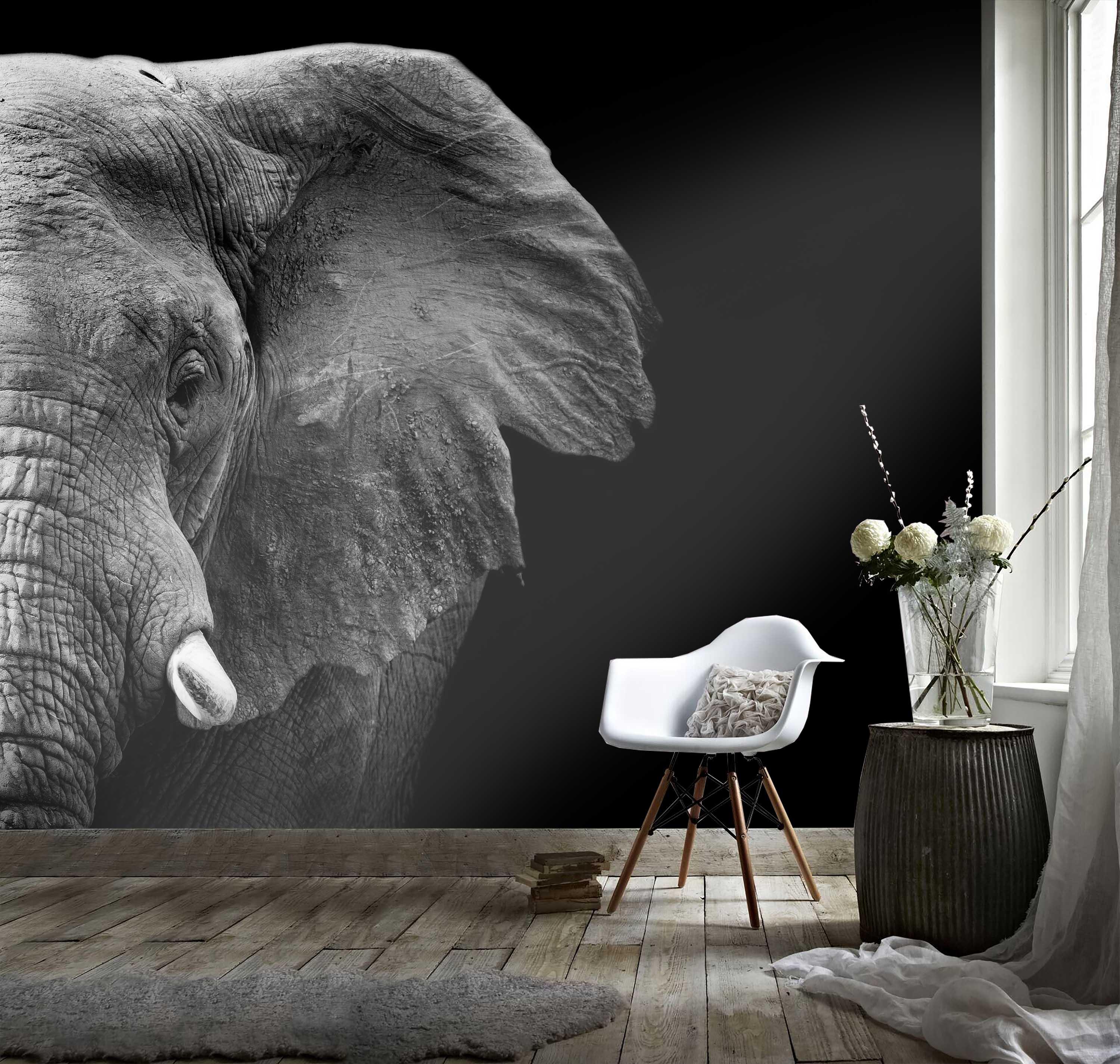 3D Black White Elephant Wall Mural Wallpaper 52- Jess Art Decoration