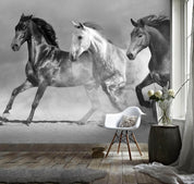 3D Black White Horse Gallop Wall Mural Wallpaper 145- Jess Art Decoration
