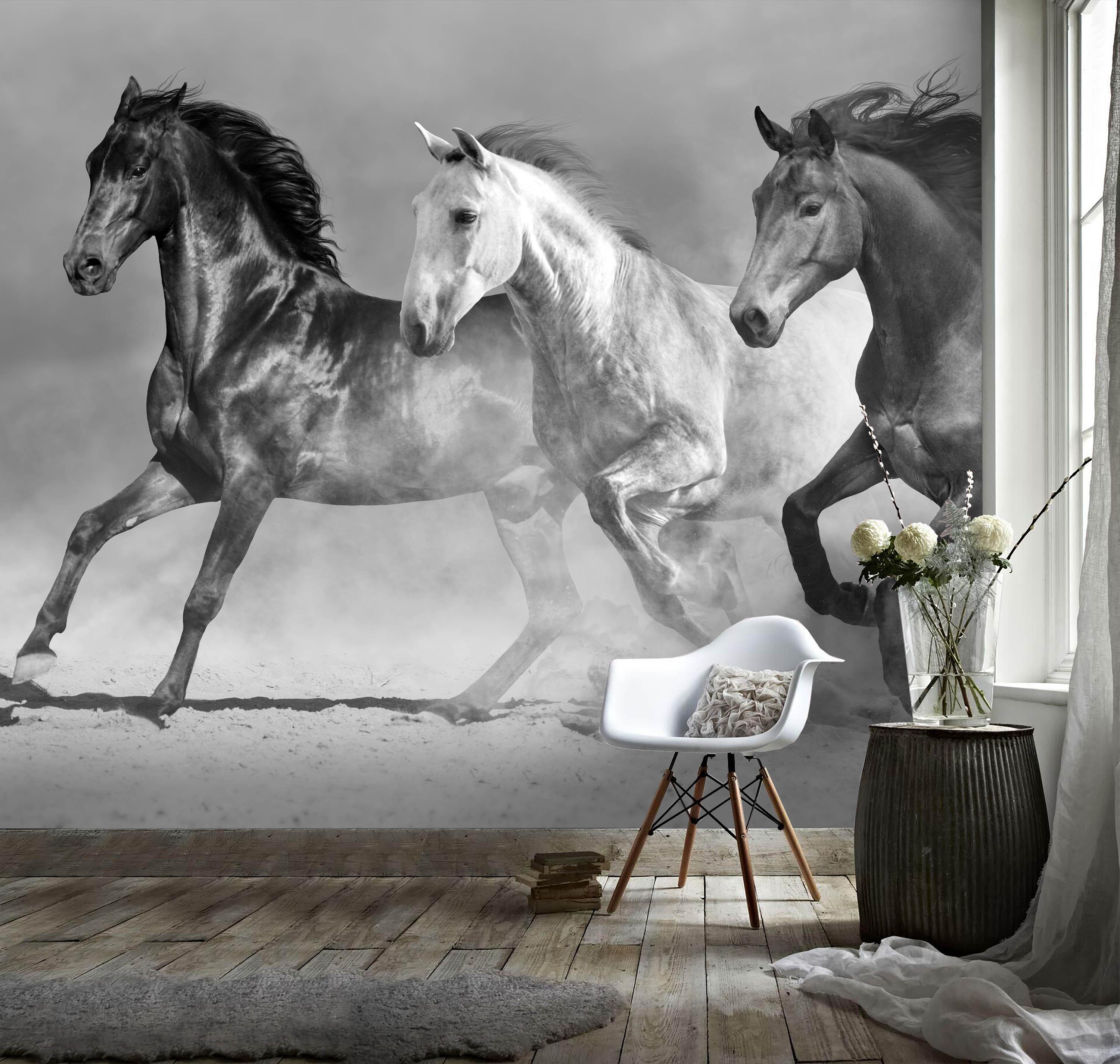 3D Black White Horse Gallop Wall Mural Wallpaper 145- Jess Art Decoration