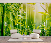 3D Morning Green Bamboo Forest Wall Mural Wallpaper GD 2573- Jess Art Decoration