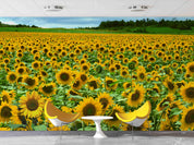 3D Sunflower Field bright sunflower landscape wall mural wallpaper for living room - view 4