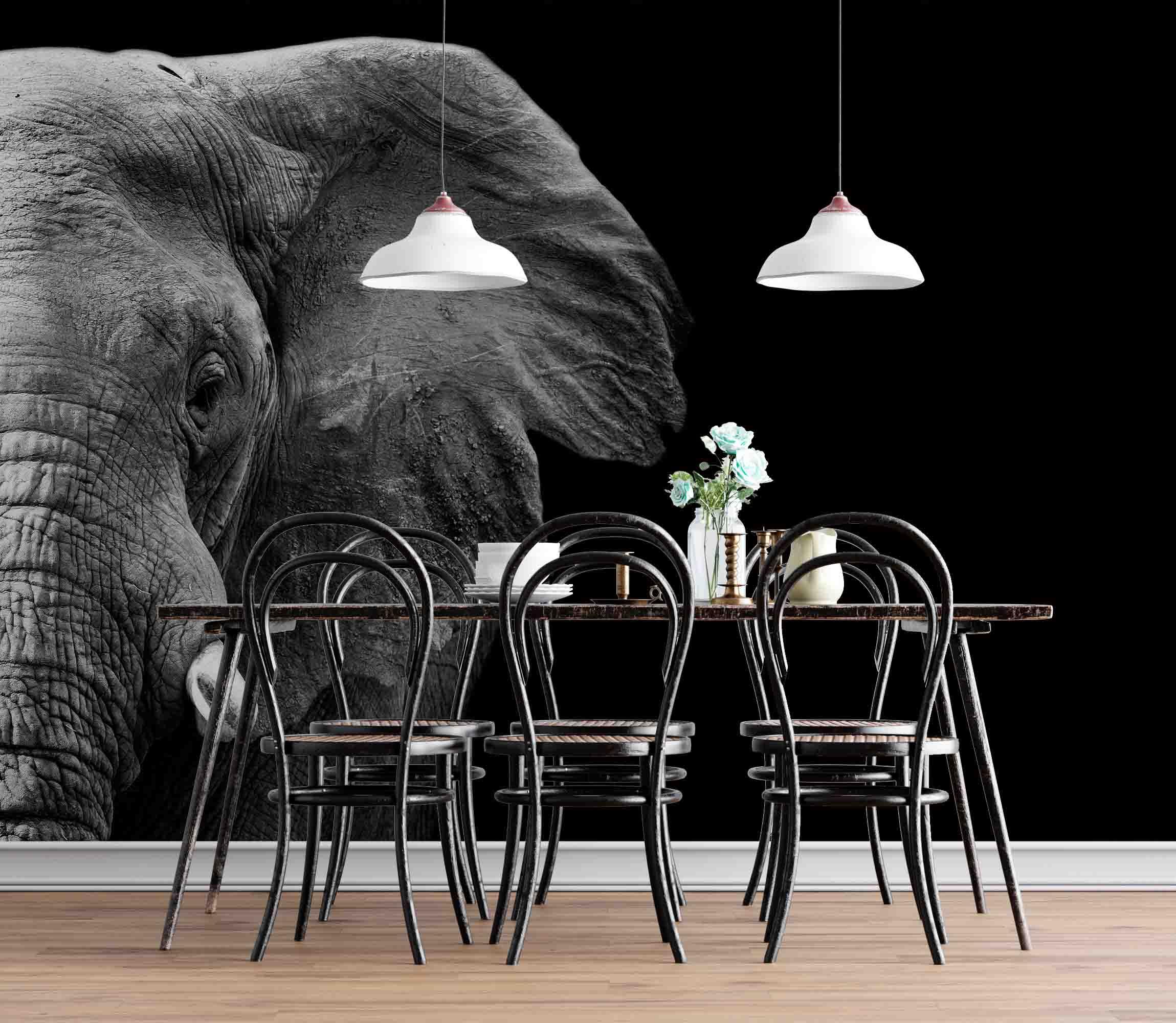 3D Black Elephant Wall Mural Wallpaper sww  43- Jess Art Decoration