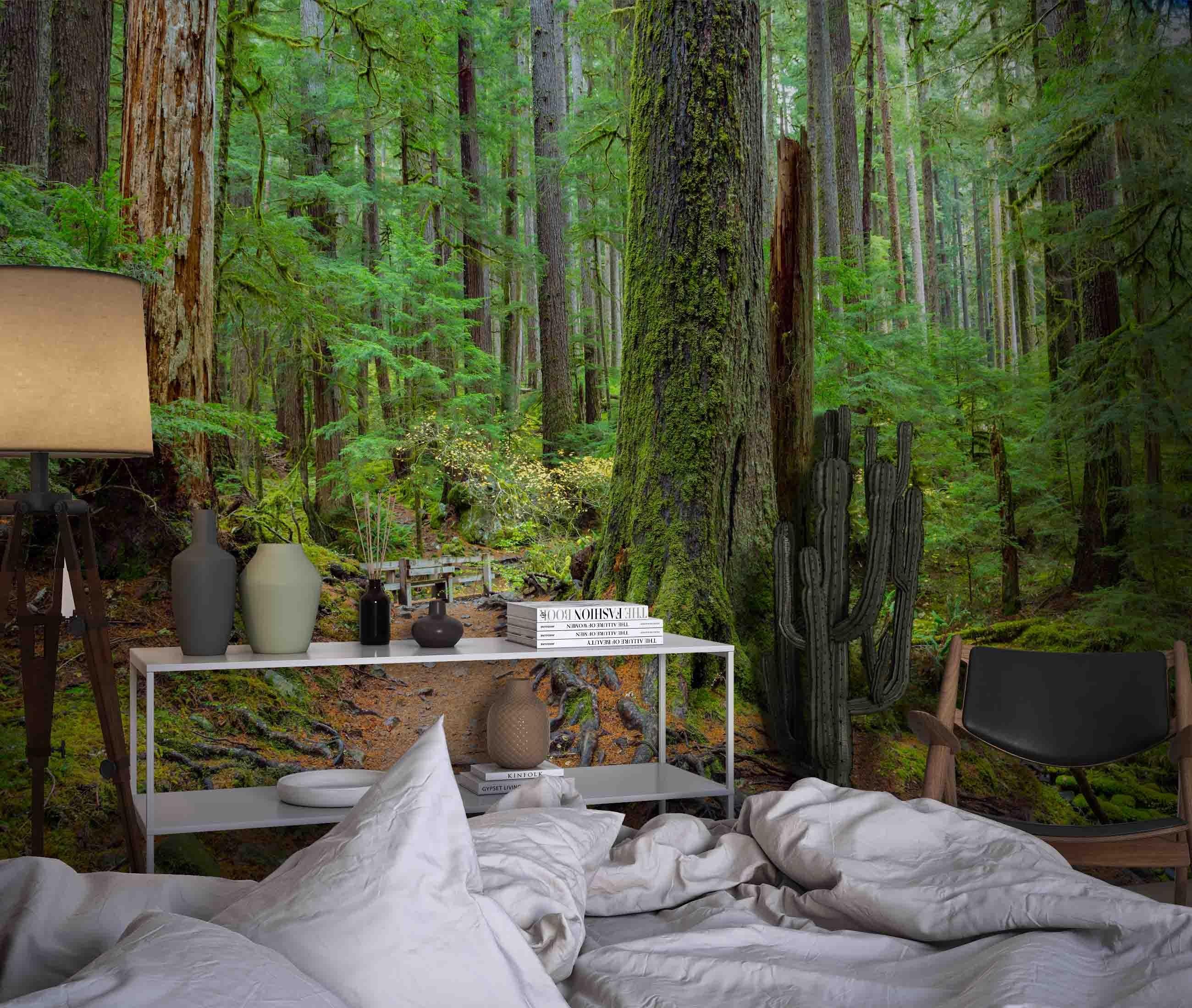 3D Hoh Rain Forest Landscape Wall Mural Wallpaper LQH 215- Jess Art Decoration