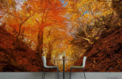 3D Autumn Forest Landscape Wall Mural Wallpaper LQH 682- Jess Art Decoration