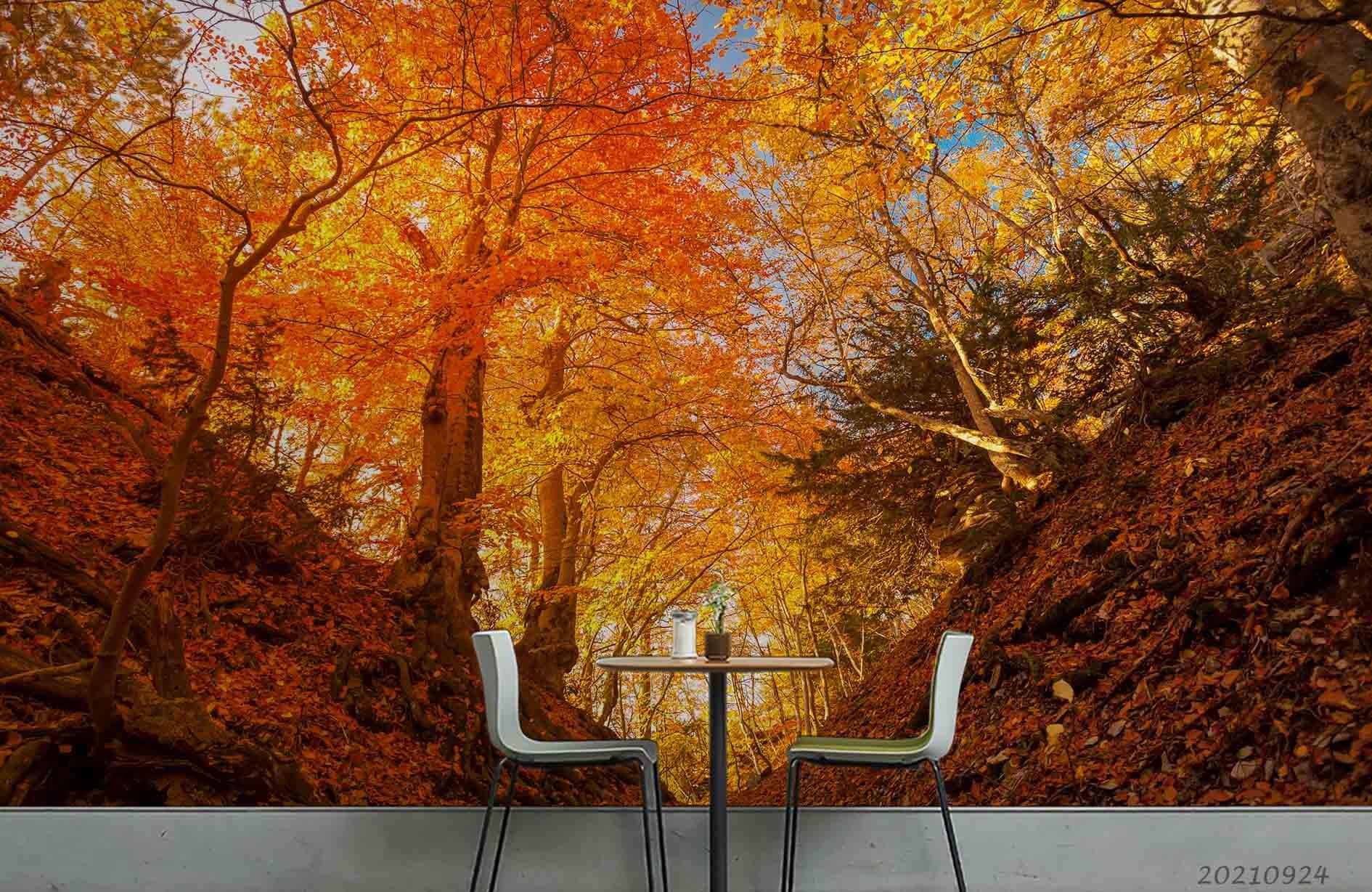 3D Autumn Forest Landscape Wall Mural Wallpaper LQH 682- Jess Art Decoration