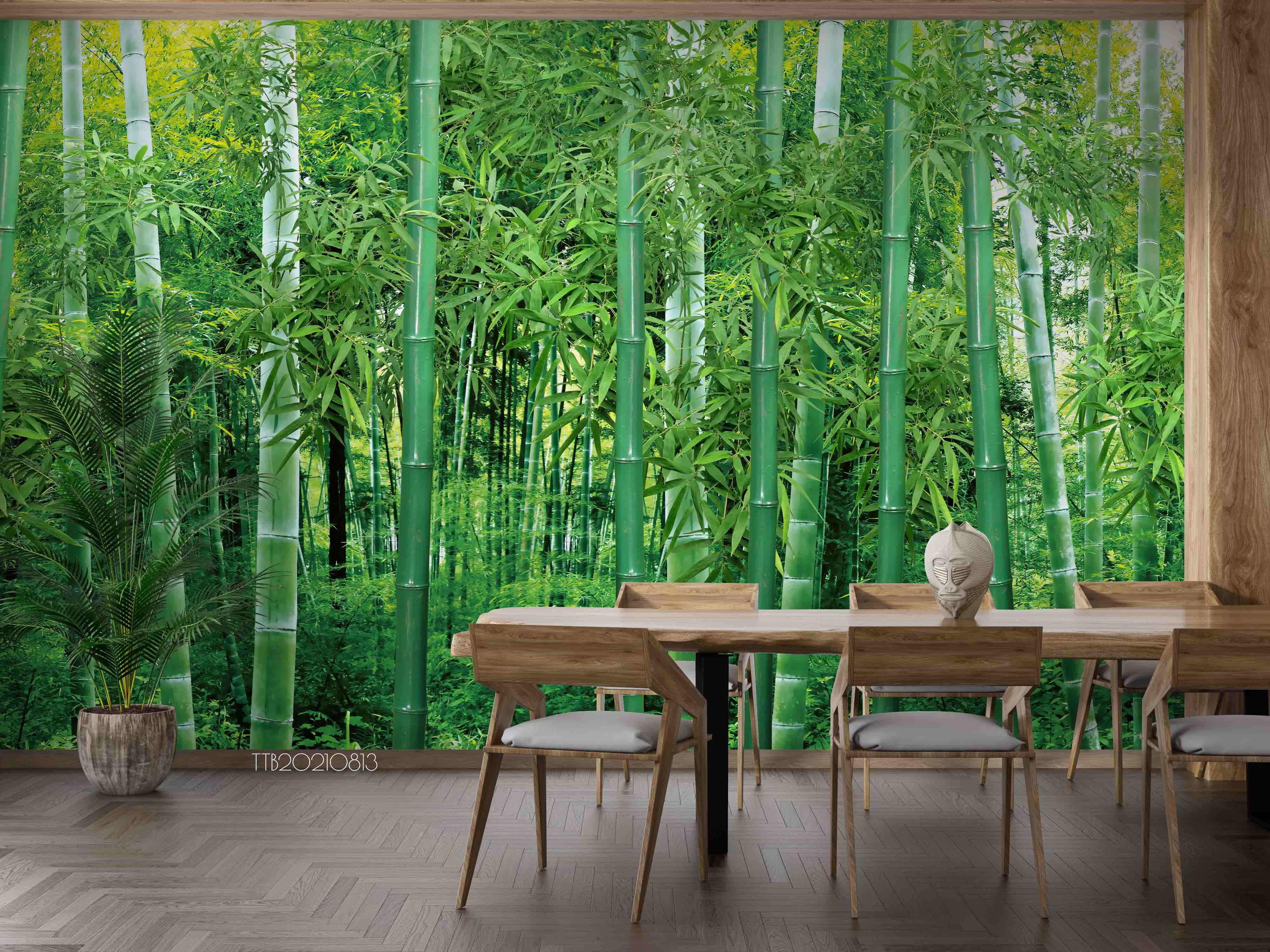 3D Green Bamboo Forest Wall Mural Wallpaper 5098- Jess Art Decoration
