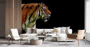 3D Golden Tiger Black Background Wall Mural Wallpaper GD 3099- Jess Art Decoration