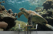 3D Turtle Underwater World Wall Mural Wallpaper LQH 167- Jess Art Decoration
