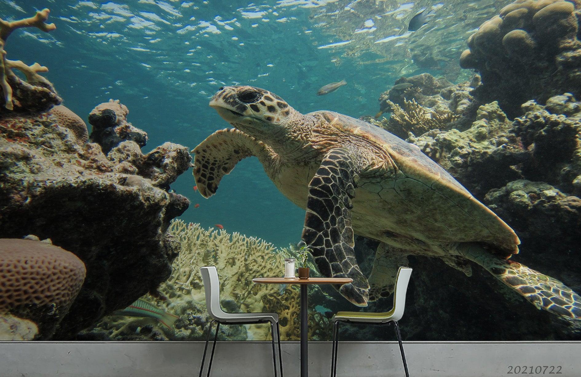 3D Turtle Underwater World Wall Mural Wallpaper LQH 167- Jess Art Decoration