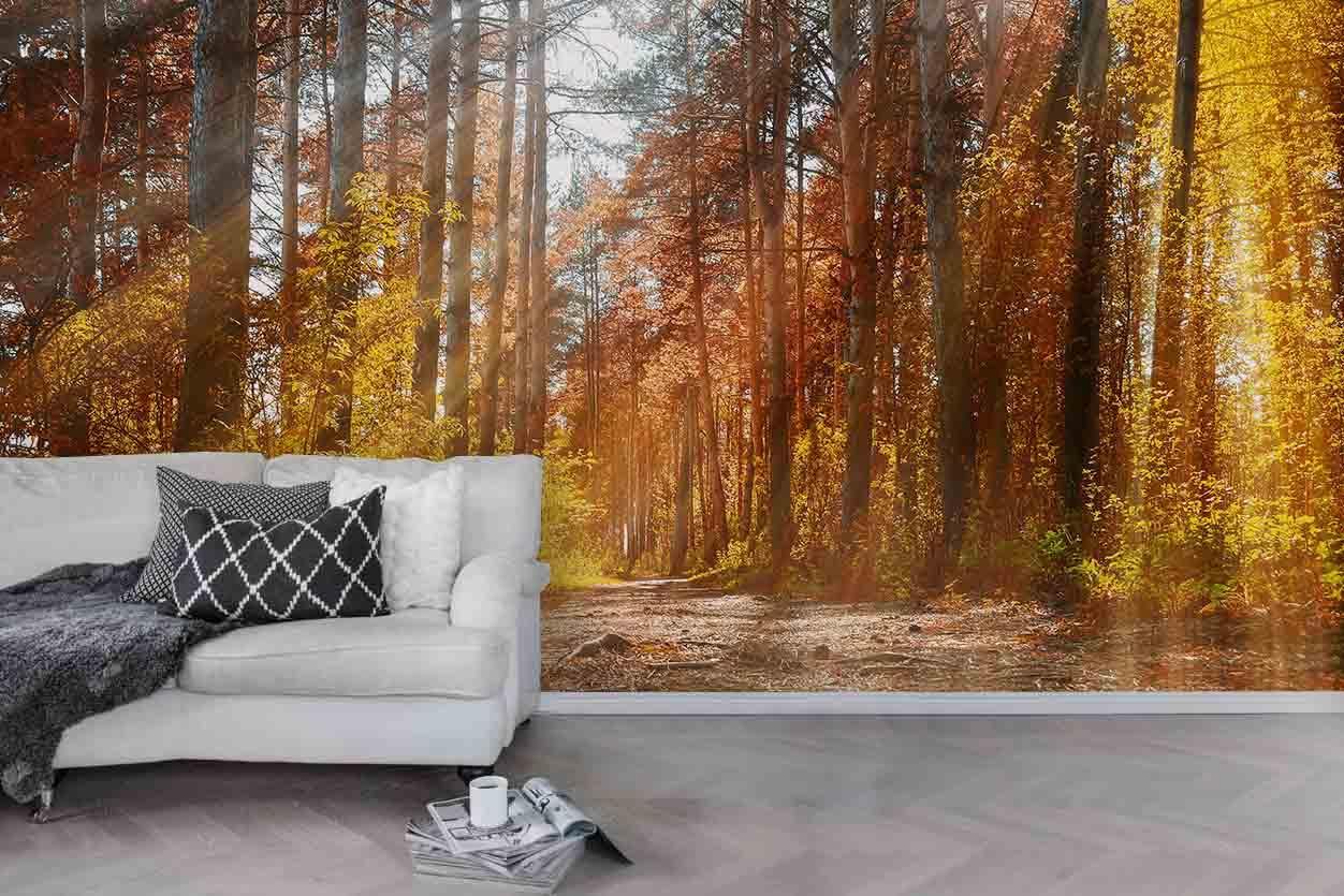 3D Forest Fall Wall Mural Wallpaper 161- Jess Art Decoration