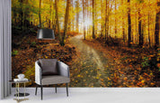 3D Autumn Forest Sunny Wall Mural Wallpaper  sww 211- Jess Art Decoration