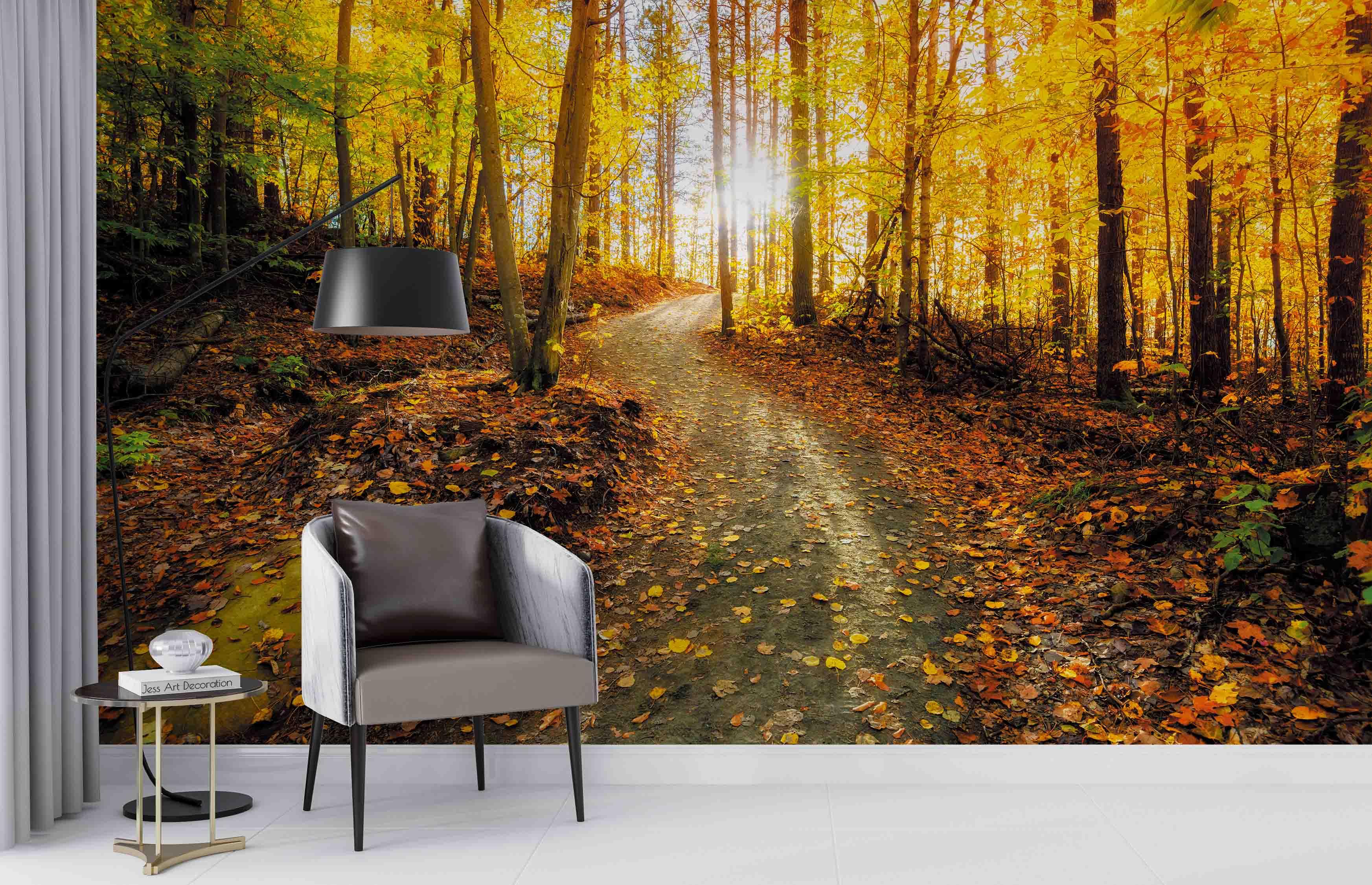 3D Autumn Forest Sunny Wall Mural Wallpaper  sww 211- Jess Art Decoration