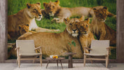 3D  Africa Grassland Lion Wall Mural Wallpaper SWW1691- Jess Art Decoration
