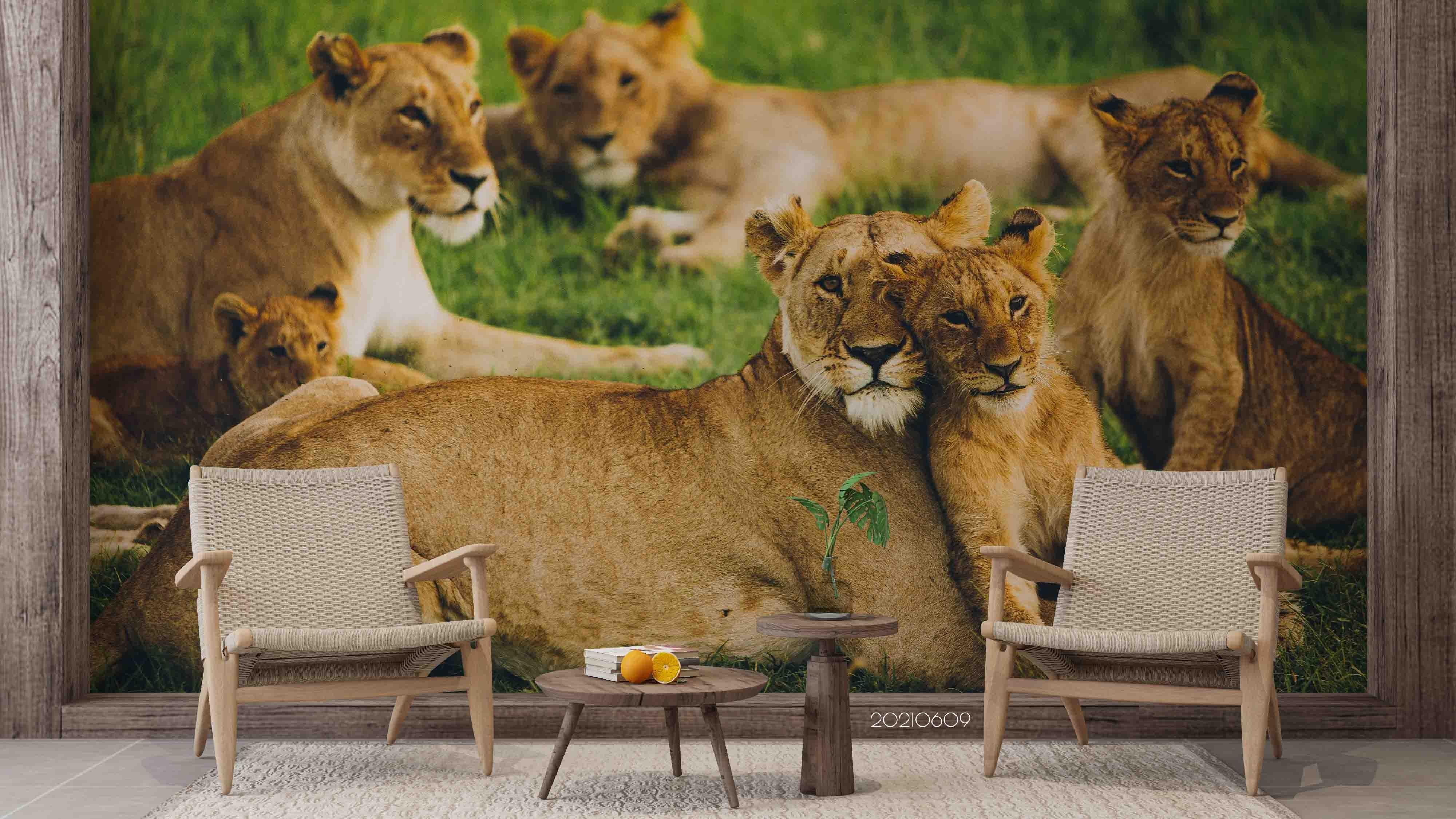 3D  Africa Grassland Lion Wall Mural Wallpaper SWW1691- Jess Art Decoration