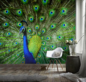 3D Peacock Feather Wall Mural Wallpaper 125- Jess Art Decoration