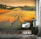 3D Golden Sunshine Vineyard Wall Mural Wallpaper 69- Jess Art Decoration