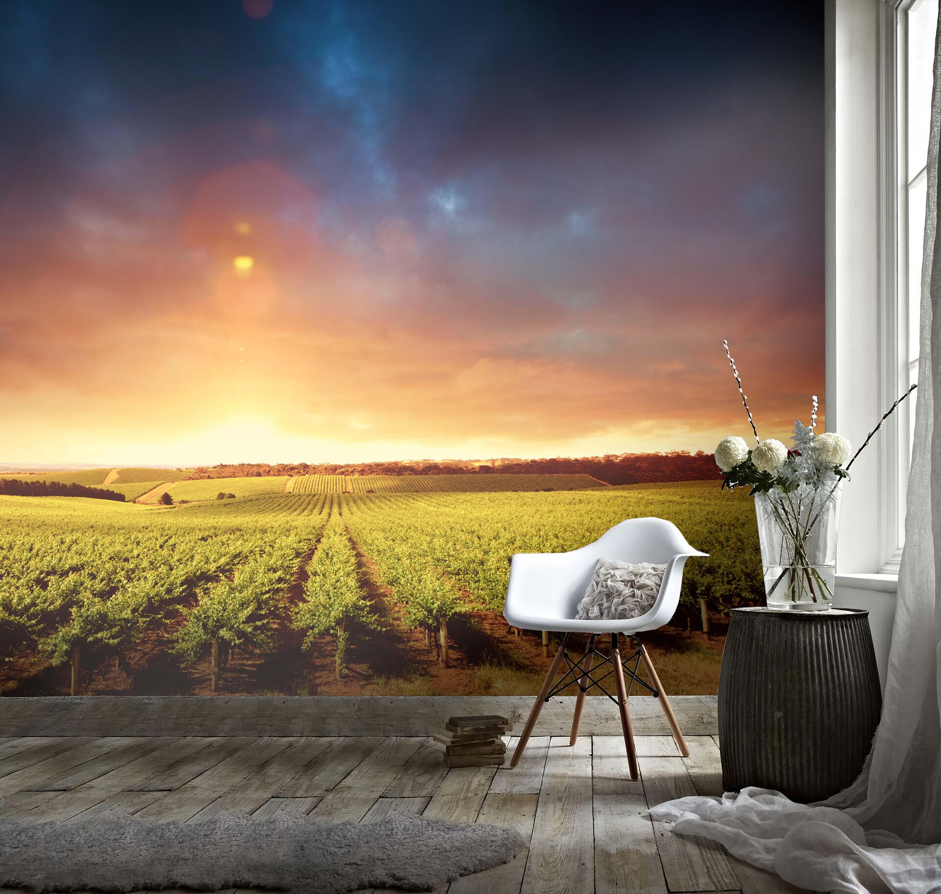 3D Dazzling Sunrise Vineyard Wall Mural Wallpaper 53- Jess Art Decoration