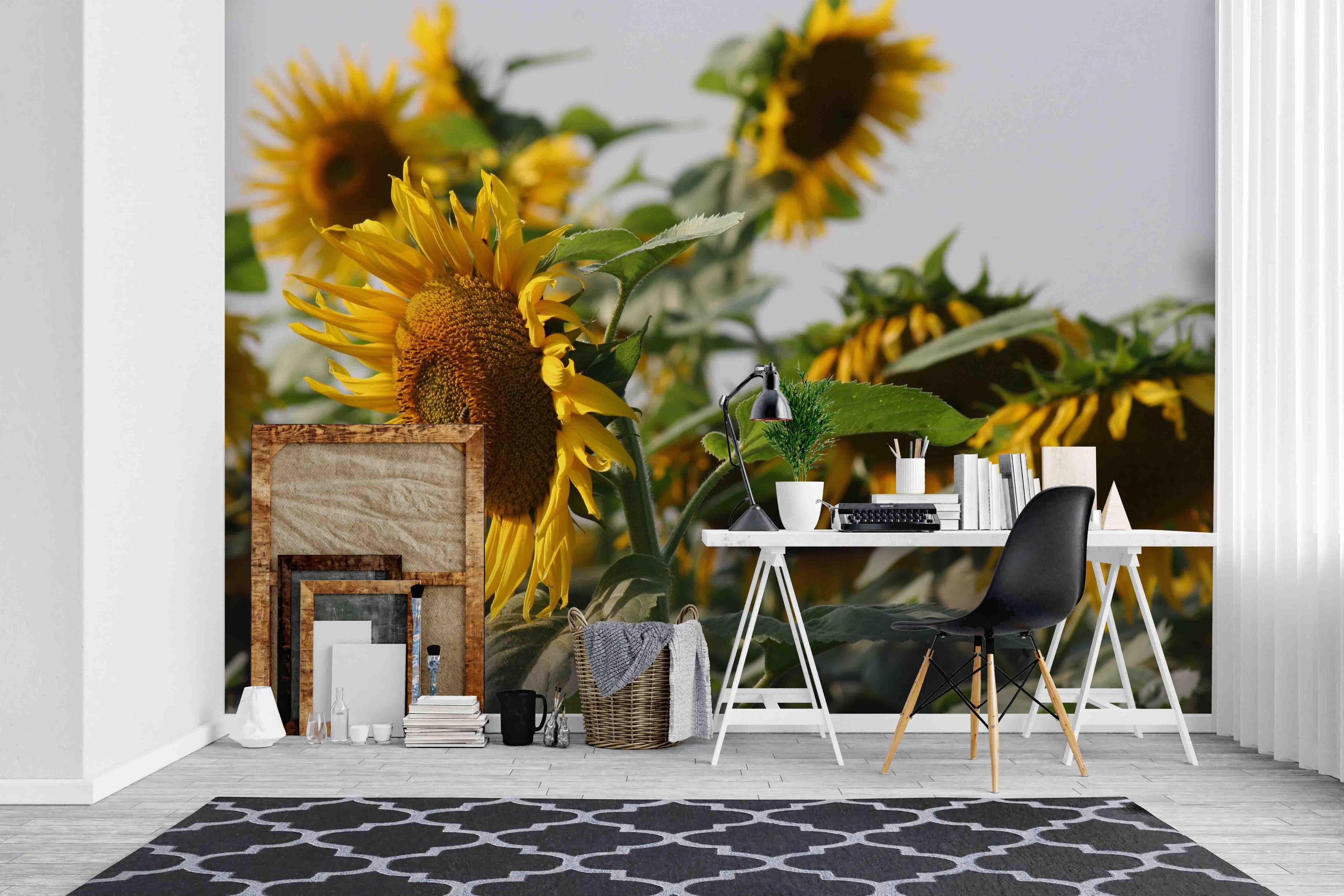 3D Sunflowers Wall Mural Wallpaper SF72- Jess Art Decoration