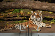 3D Forest Animal Tiger Wall Mural Wallpaper LQH 174- Jess Art Decoration