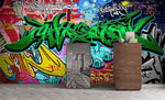 3D graffiti wall painting 043 wall murals- Jess Art Decoration