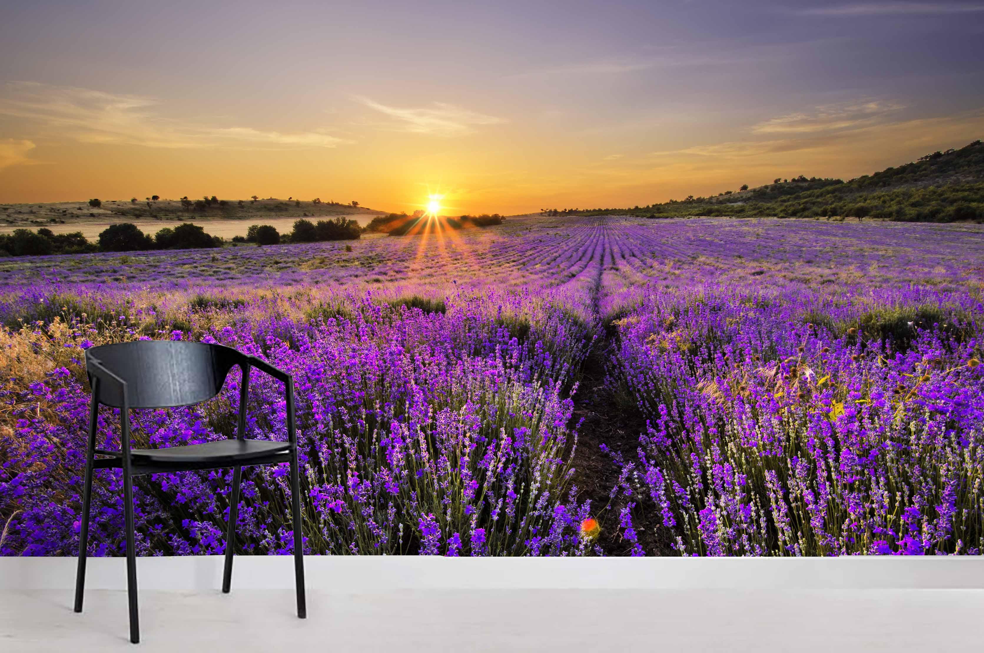 3D Sunrise Purple Fields Wall Mural Wallpaper 8- Jess Art Decoration