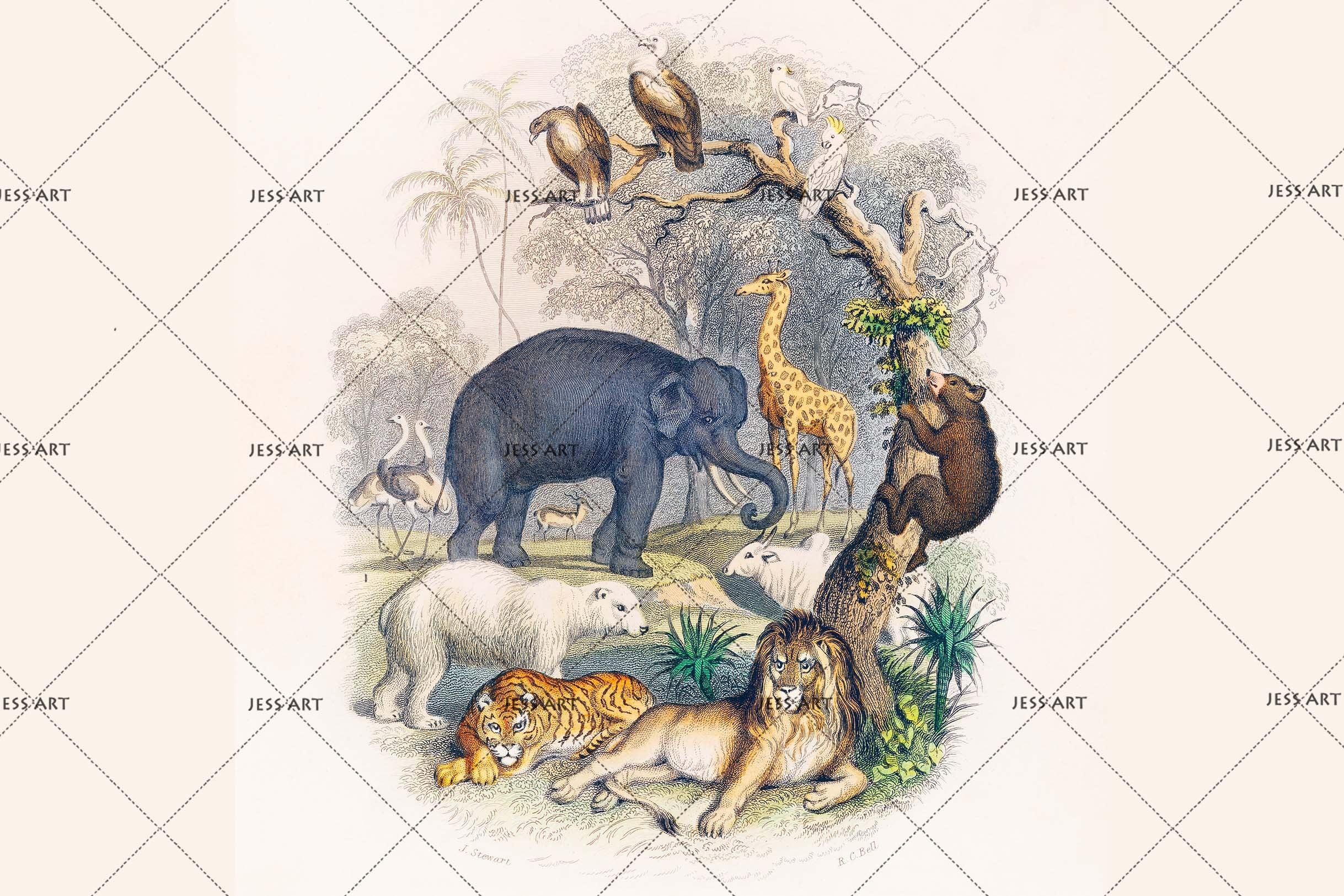 3D Hand Painted Animal Wall Mural Wallpaper 134- Jess Art Decoration