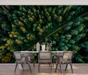 3D Aerial View Green Forest Road Scenery Wall Mural Wallpaper GD 566- Jess Art Decoration
