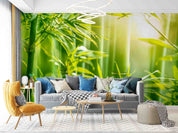 3D Morning Green Bamboo Forest Wall Mural Wallpaper GD 2573- Jess Art Decoration