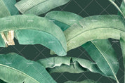 3D Green Tropical Leaves Wall Mural Wallpaper SF74- Jess Art Decoration