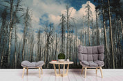 3D Blue Sky White Clouds Forest Wall Mural Wallpaper 38- Jess Art Decoration