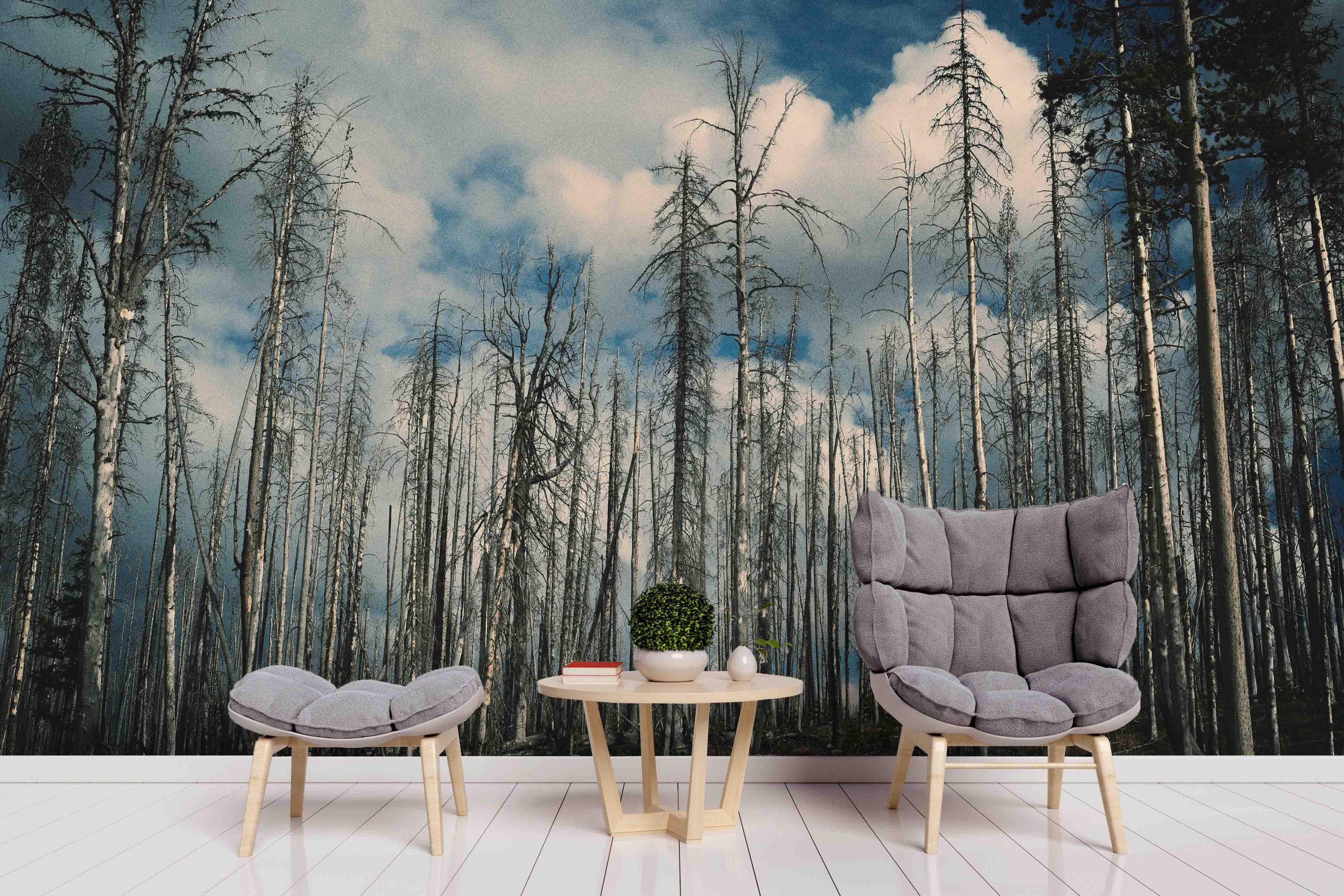 3D Blue Sky White Clouds Forest Wall Mural Wallpaper 38- Jess Art Decoration