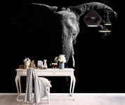 3D Black White Elephant Wall Mural Wallpaper 129- Jess Art Decoration