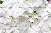3D White Flowers Wall Mural Wallpaper SF03- Jess Art Decoration