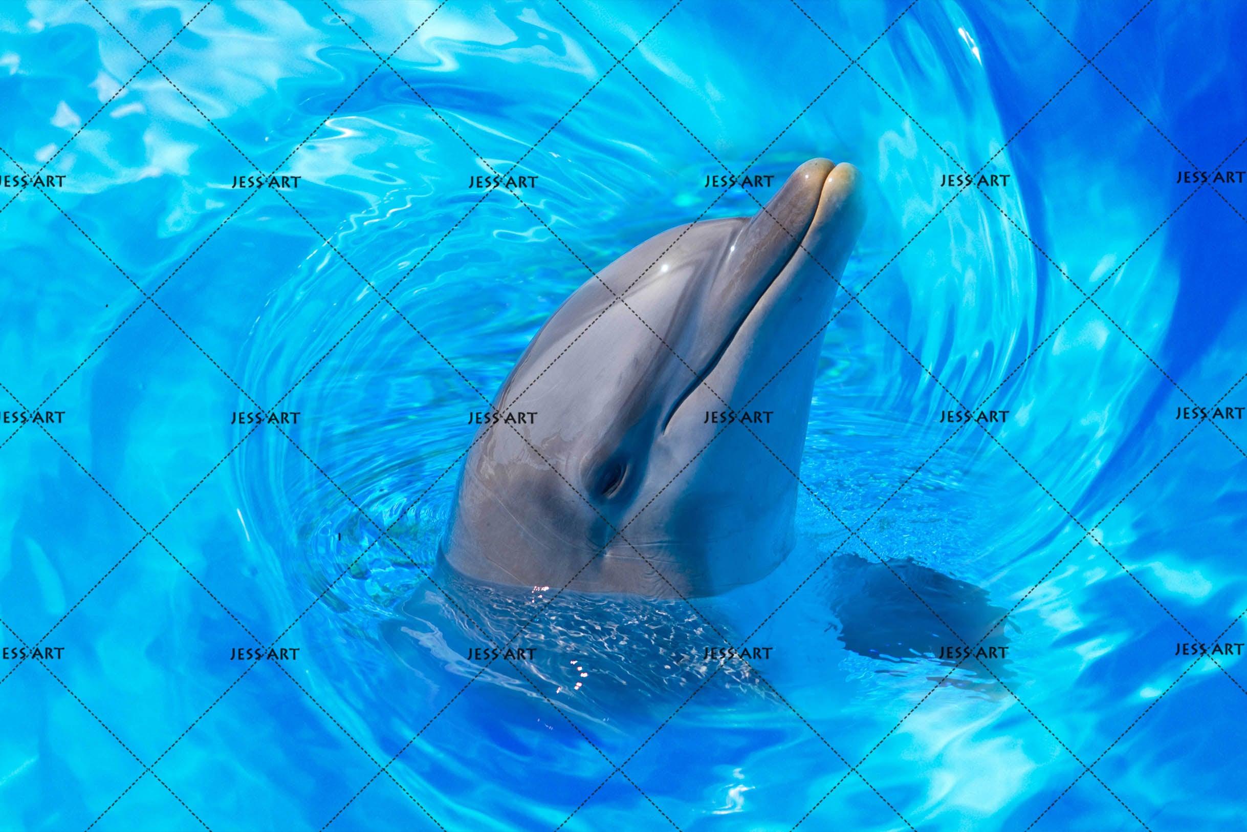 3D Blue Ocean Dolphin Wall Mural Wallpaper 157- Jess Art Decoration