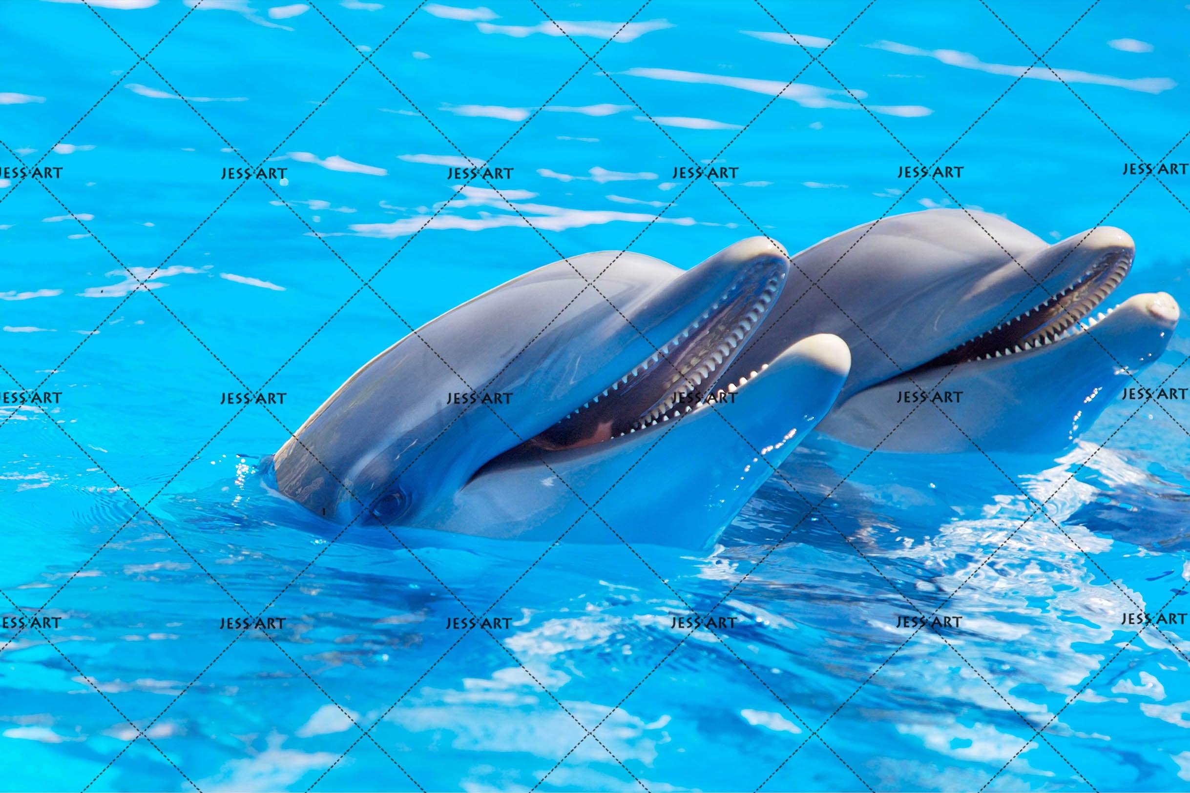 3D Blue Ocean Dolphin Wall Mural Wallpaper 153- Jess Art Decoration