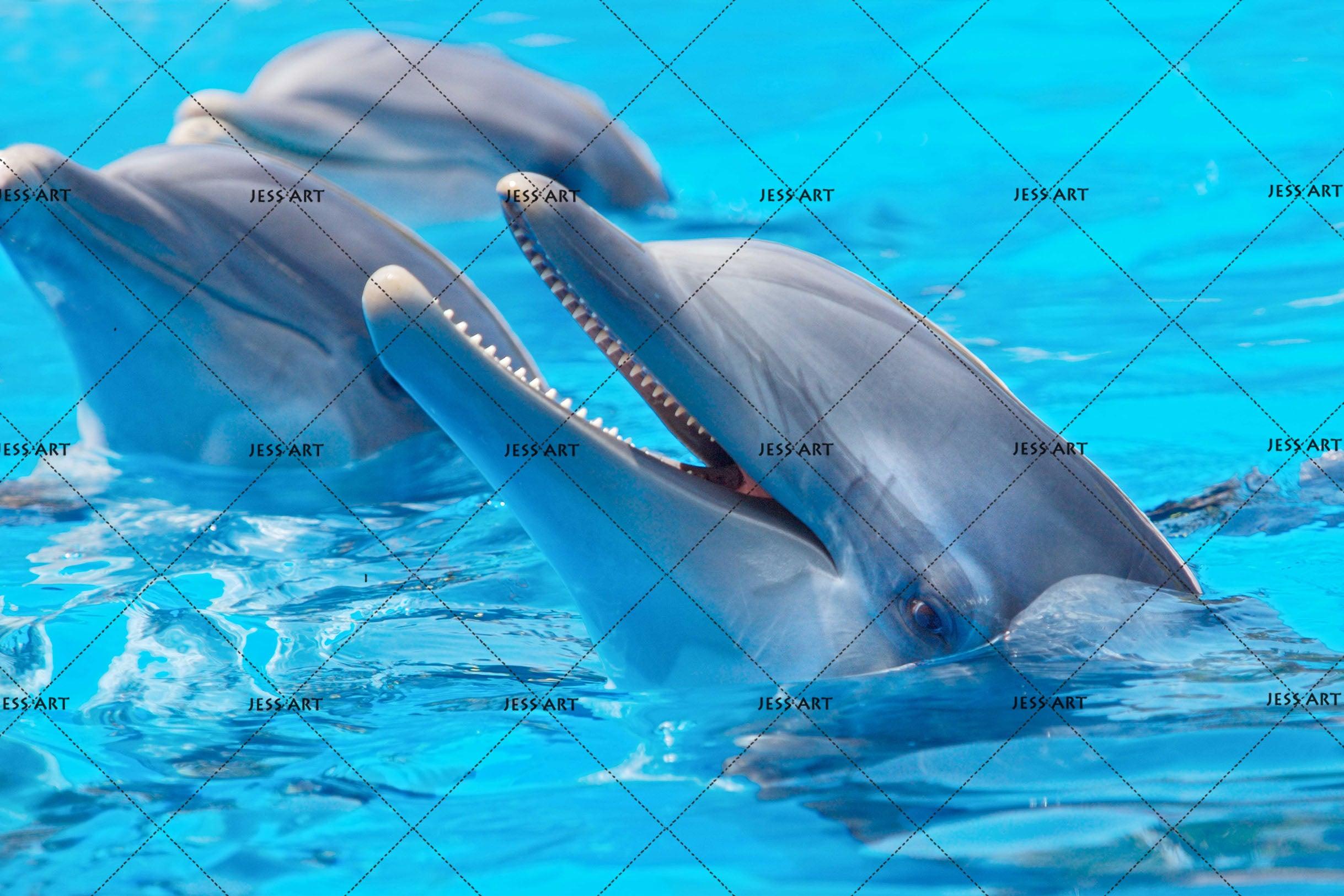 3D Blue Ocean Dolphin Wall Mural Wallpaper 152- Jess Art Decoration