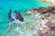 3D Blue Sea Dolphin Rock Wall Mural Wallpaper 134- Jess Art Decoration