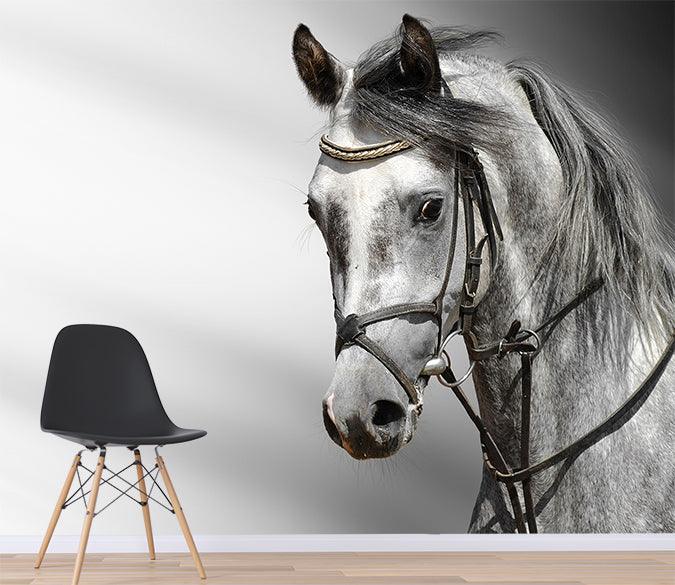 3D black white horse wall mural  Wallpaper 18- Jess Art Decoration