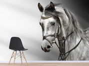 3D black white horse wall mural  Wallpaper 18- Jess Art Decoration