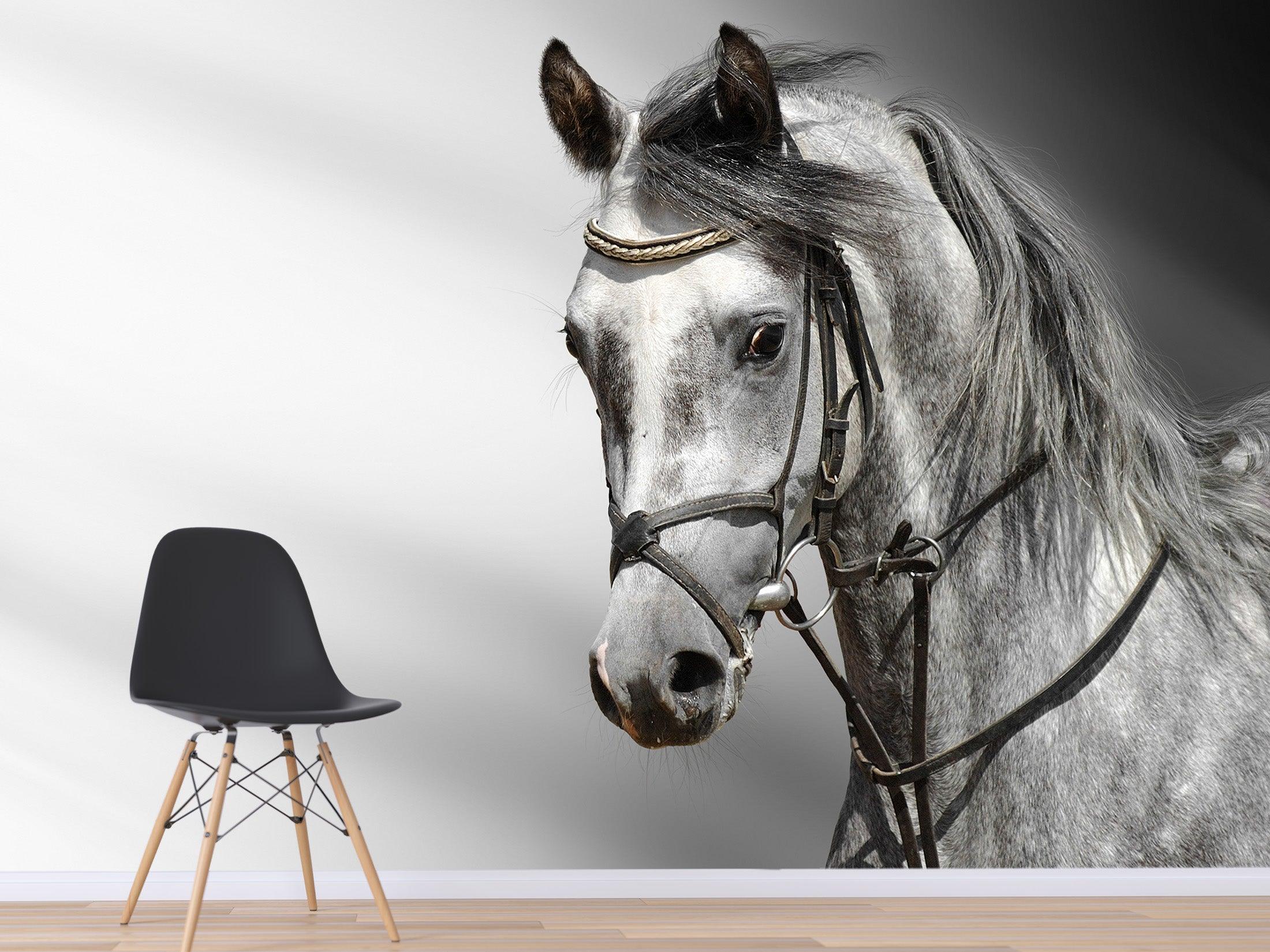 3D black white horse wall mural  Wallpaper 18- Jess Art Decoration
