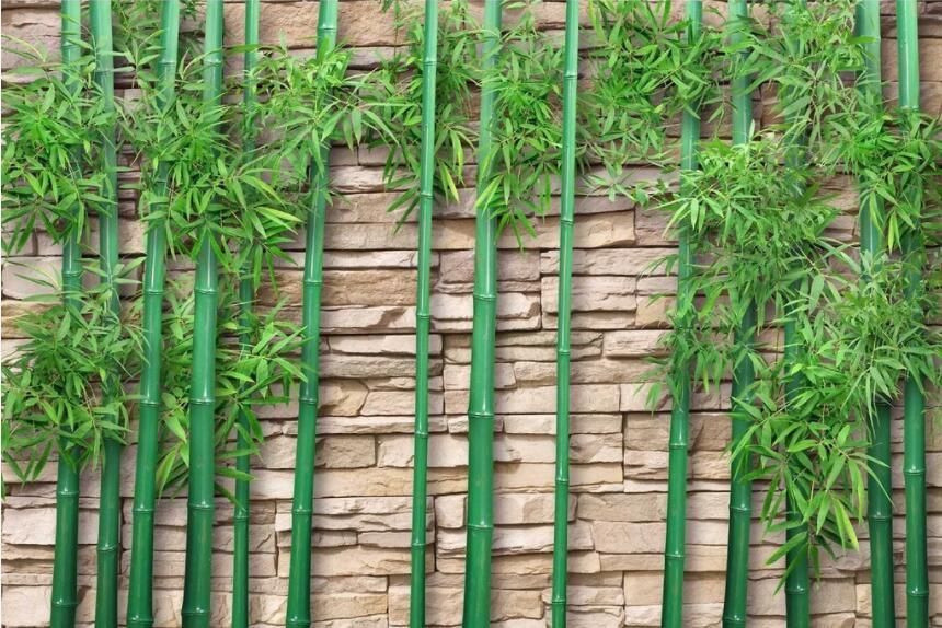 3D Bamboo Forest Wall Mural Wallpaper 1311- Jess Art Decoration