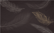 3D Black Feather Wall Mural Wallpaper 1615- Jess Art Decoration