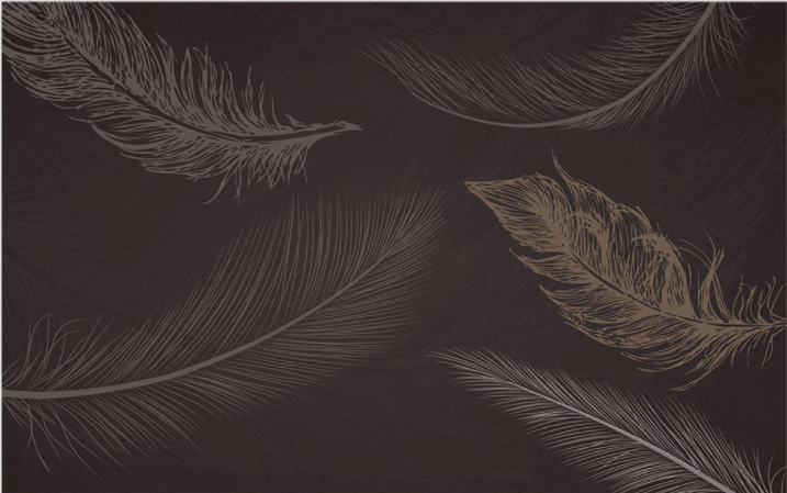 3D Black Feather Wall Mural Wallpaper 1615- Jess Art Decoration